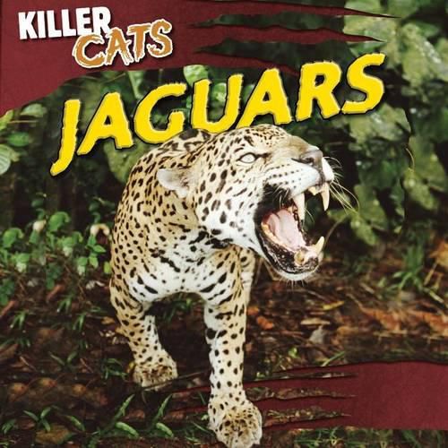 Cover image for Jaguars