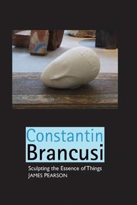 Cover image for Constantin Brancusi