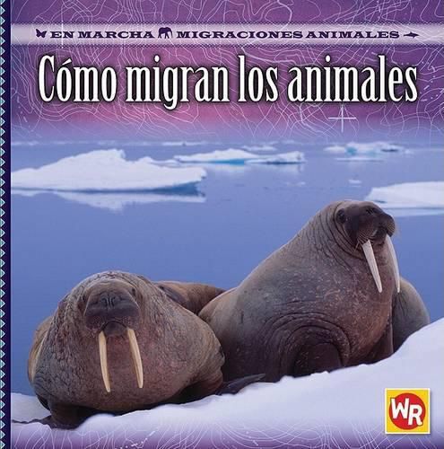 Cover image for Como Migran Los Animales (How Animals Migrate)