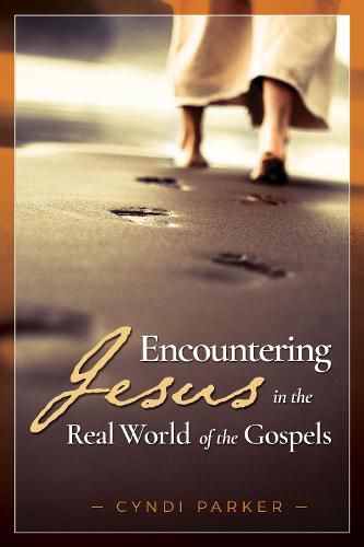 Cover image for Encountering Jesus in the Real World of the Gospels