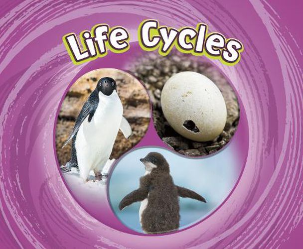 Cover image for Life Cycles