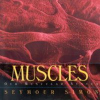 Cover image for Muscles: Our Muscular System