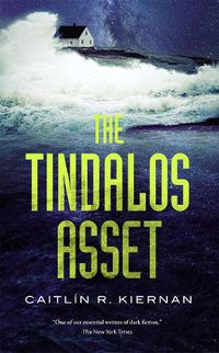 Cover image for The Tindalos Asset