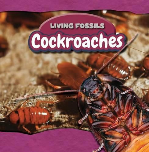 Cockroaches