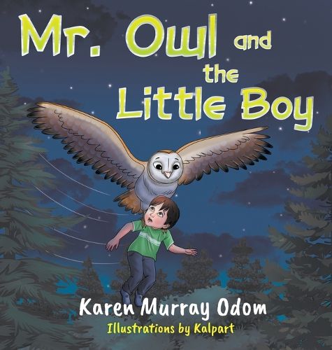 Cover image for Mr. Owl and the Little Boy