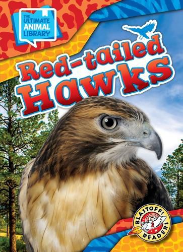 Cover image for Red-Tailed Hawks