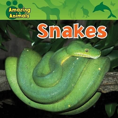 Cover image for Snakes