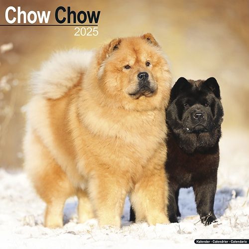 Chow Chow Calendar 2025 Square Dog Breed Wall Calendar - 16 Month