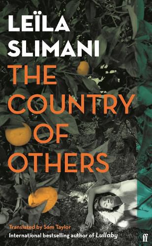 Cover image for The Country of Others
