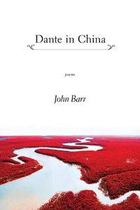 Cover image for Dante in China