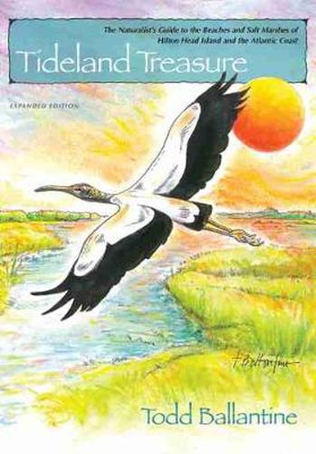 Cover image for Tideland Treasure