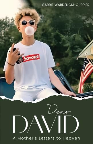 Cover image for Dear David