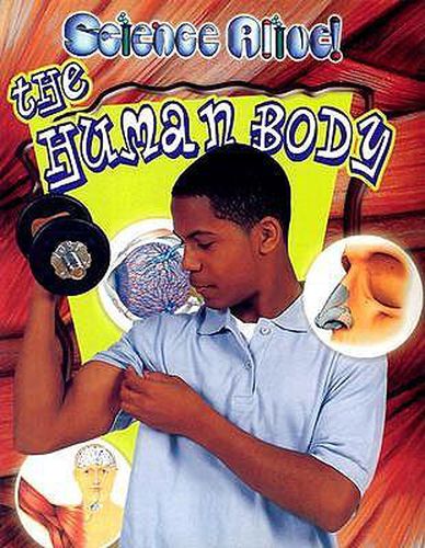 Cover image for The Human Body