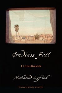 Cover image for Endless Fall