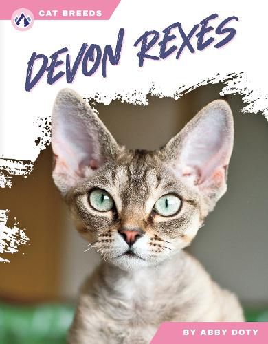 Cover image for Devon Rexes