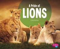 Cover image for A Pride of Lions