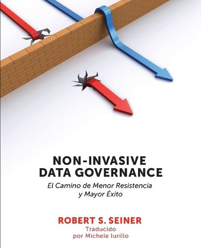 Cover image for Non-Invasive Data Governance