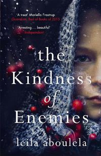 Cover image for The Kindness of Enemies