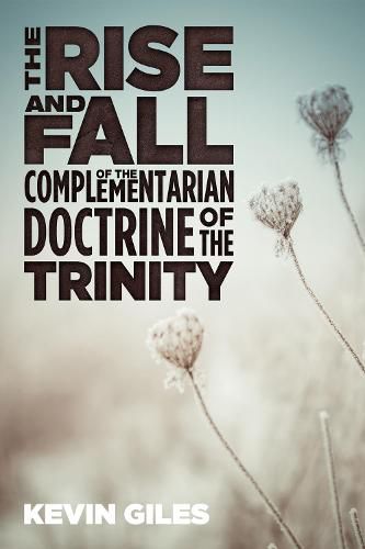 Cover image for The Rise and Fall of the Complementarian Doctrine of the Trinity