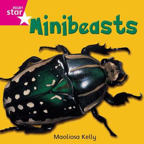 Cover image for Rigby Star Independent Pink Reader 2 Minibeasts