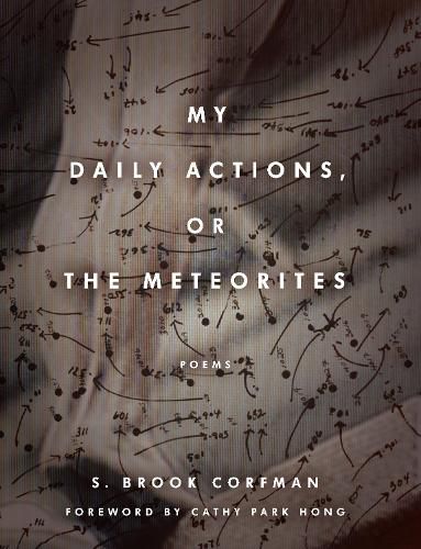 Cover image for My Daily Actions, or The Meteorites