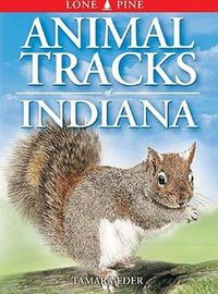 Cover image for Animal Tracks of Indiana
