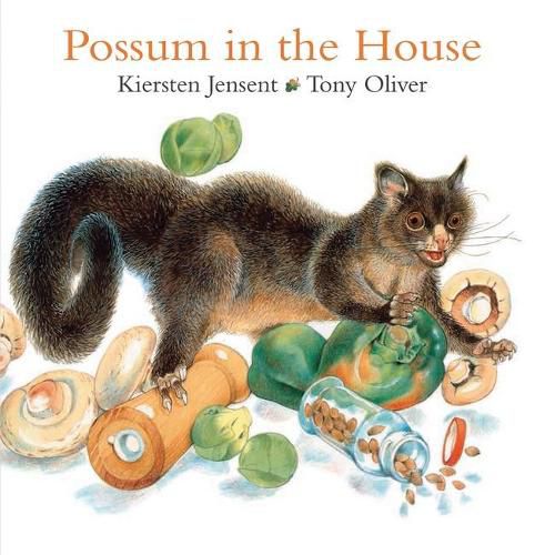 Cover image for Possum in the House