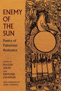 Cover image for Enemy of the Sun