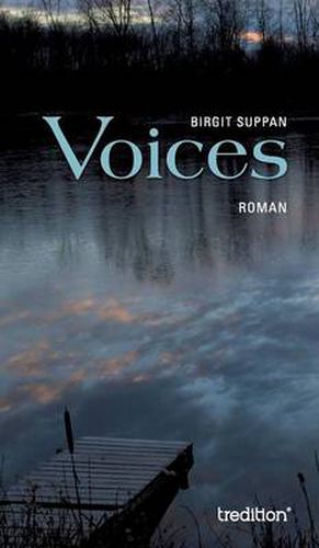 Cover image for Voices