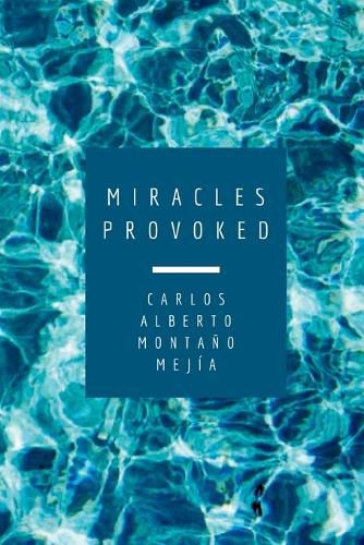 Cover image for Miracles Provoked