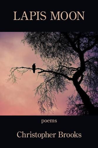 Cover image for Lapis Moon