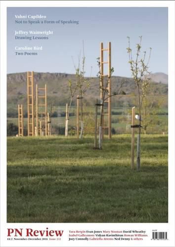 Cover image for PN Review 232