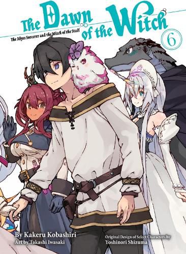 Cover image for The Dawn of the Witch 6 (light novel)