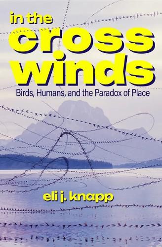 Cover image for In the Crosswinds