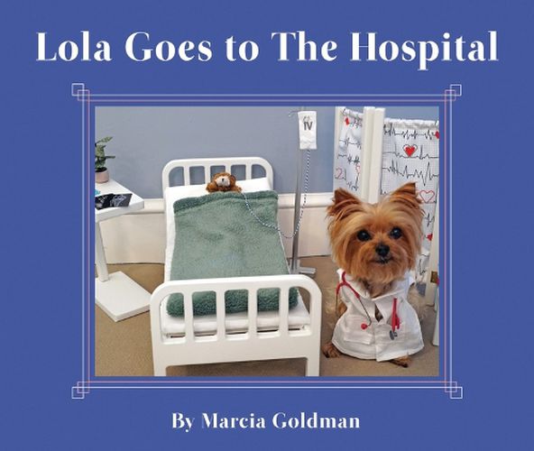 Cover image for Lola Goes to the Hospital