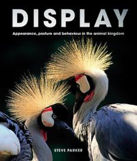 Cover image for Display: Appearance, posture and behaviour in the animal kingdom