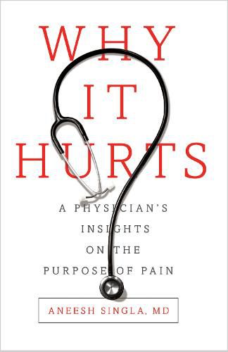 Cover image for Why It Hurts