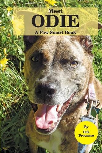 Cover image for Meet Odie