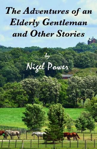 Cover image for THE ADVENTURES OF AN ELDERLY GENTLEMAN AND OTHER STORIES