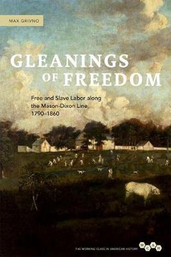 Cover image for Gleanings of Freedom: Free and Slave Labor Along the Mason-Dixon Line, 1790-1860