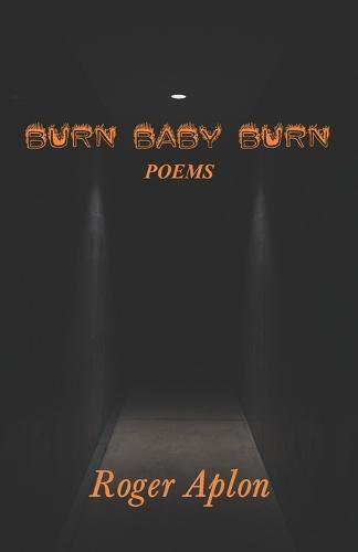 Cover image for Burn Baby Burn