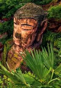 Cover image for China's Great Buddha in Leshan