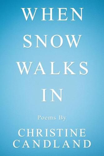 Cover image for When Snow Walks In