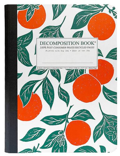 Cover image for Decomposition Notebook - Ruled - Pocket - Oranges