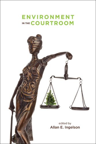 Cover image for Environment in the Courtroom