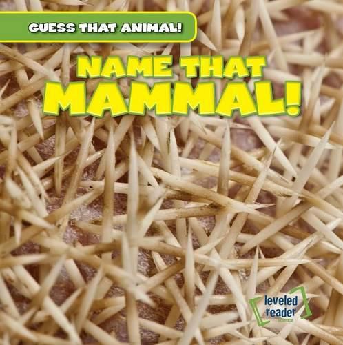 Cover image for Name That Mammal!