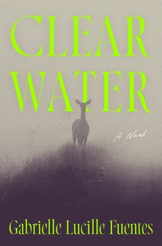 Cover image for Clear Water
