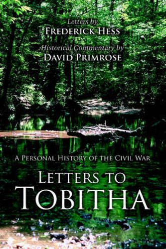 Cover image for Letters to Tobitha: A Personal History of the Civil War