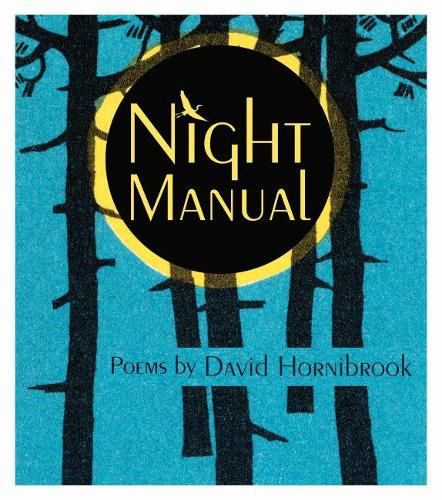 Cover image for Night Manual