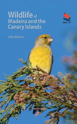 Cover image for Wildlife of Madeira and the Canary Islands: A Photographic Field Guide to Birds, Mammals, Reptiles, Amphibians, Butterflies and Dragonflies